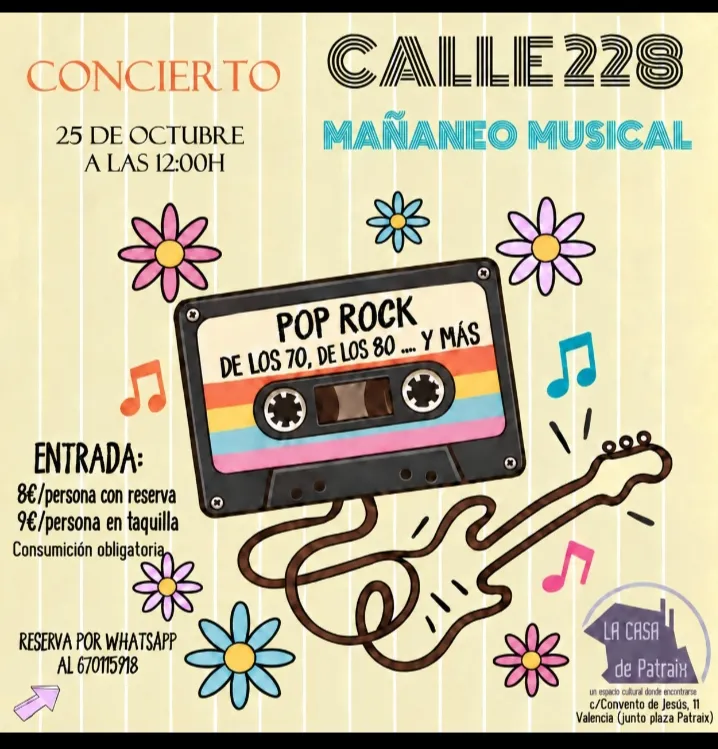 Concierto CALLE 228